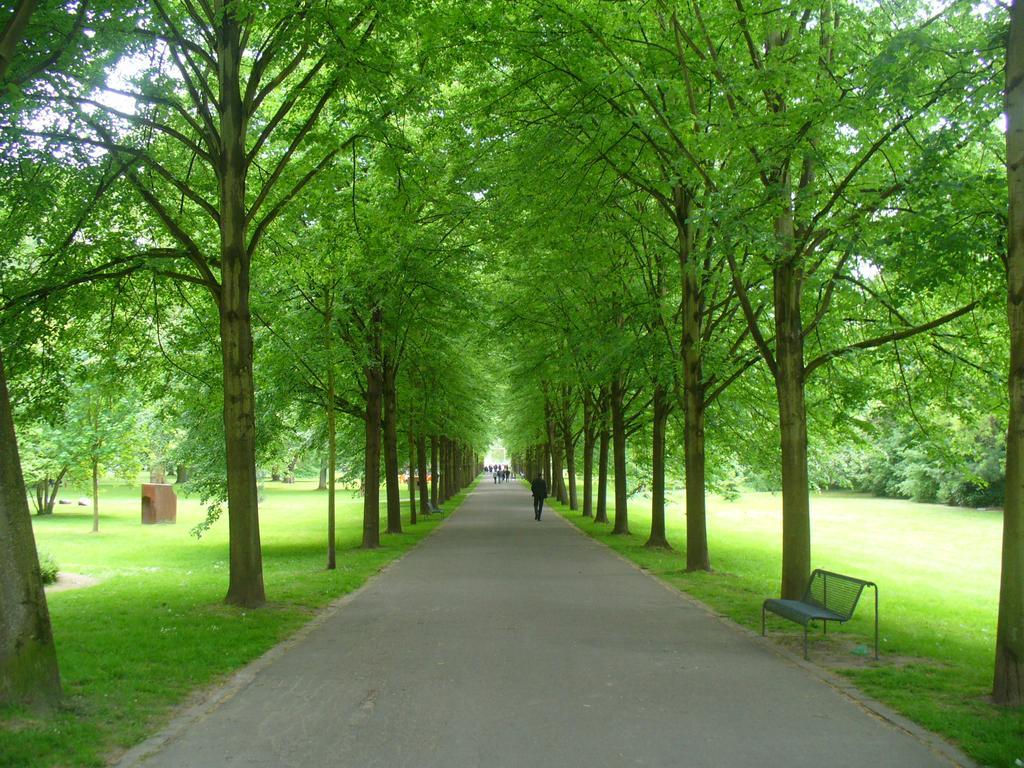 Ferienwohnung Rheinaue Kolín nad Rýnem Exteriér fotografie